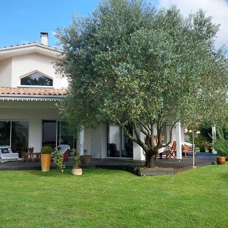 Agreable Maison Sur Le Bassin D'Arcachon Andernos-les-Bains Kültér fotó
