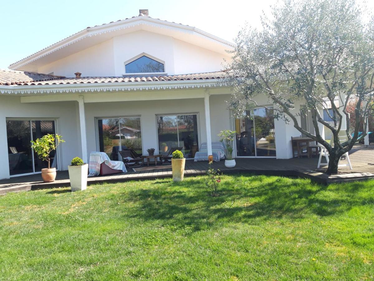 Agreable Maison Sur Le Bassin D'Arcachon Andernos-les-Bains Kültér fotó