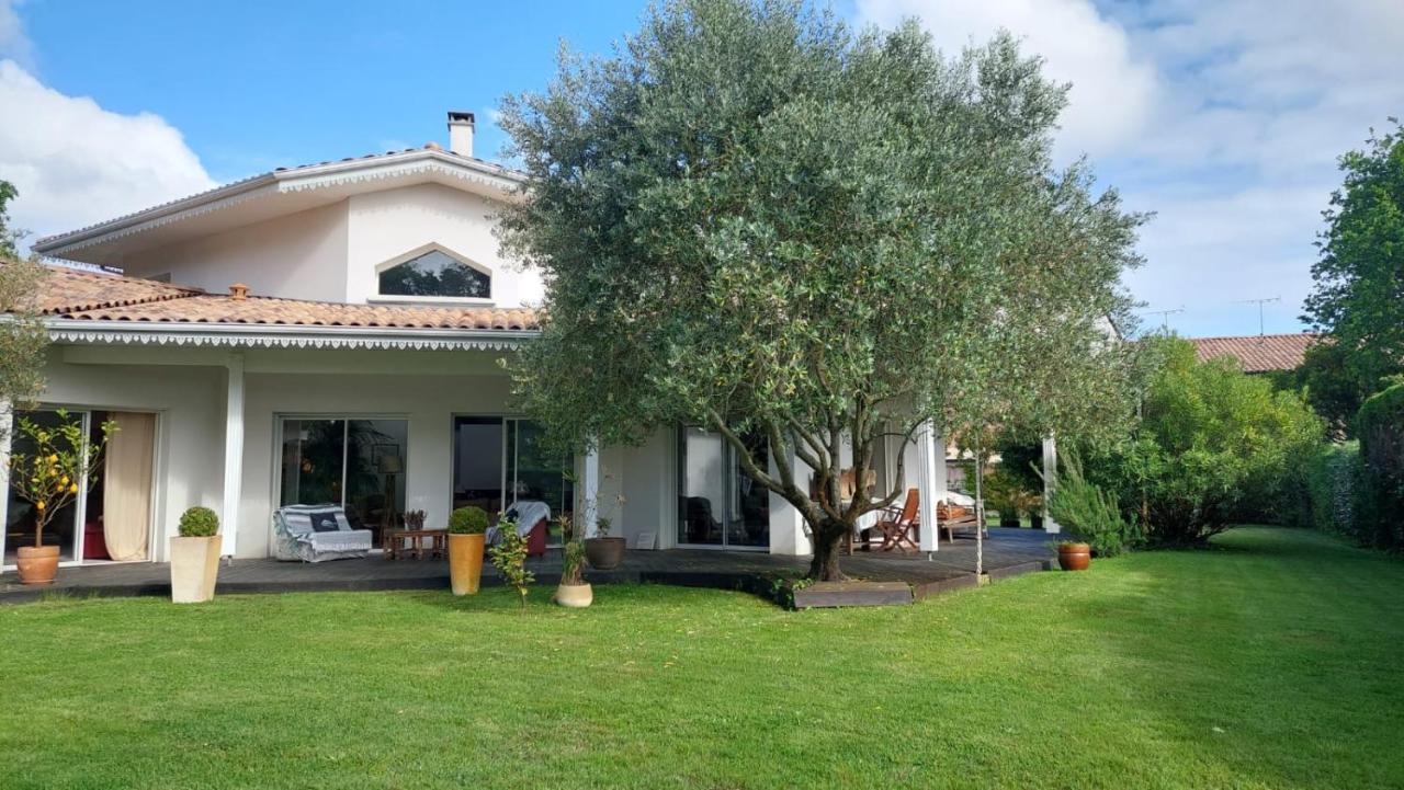 Agreable Maison Sur Le Bassin D'Arcachon Andernos-les-Bains Kültér fotó